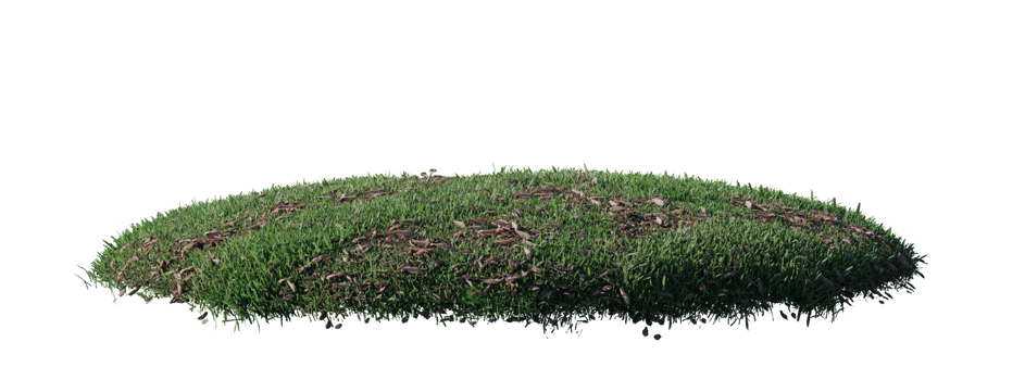 Round surface patch covered with flowers, green or dry grass isolated on white background. Realistic natural element for design. Bright 3d illustration. png