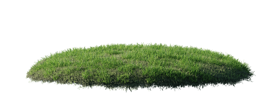 Round surface patch covered with flowers, green or dry grass isolated on white background. Realistic natural element for design. Bright 3d illustration. png