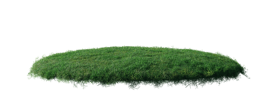 Round surface patch covered with flowers, green or dry grass isolated on white background. Realistic natural element for design. Bright 3d illustration. png