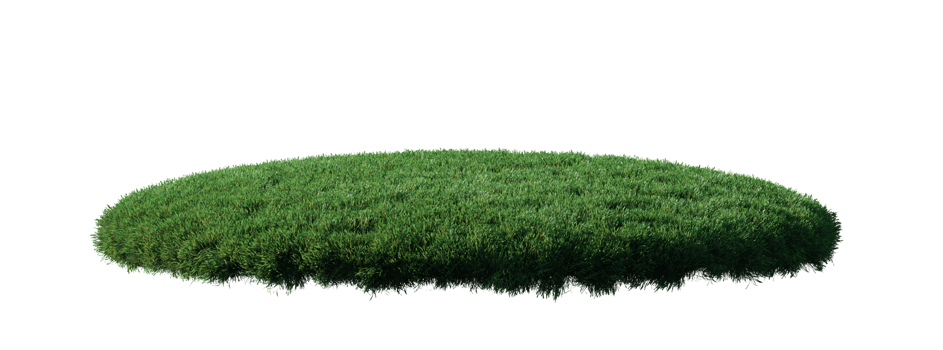 Round surface patch covered with flowers, green or dry grass isolated on white background. Realistic natural element for design. Bright 3d illustration. png