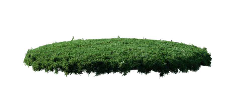Round surface patch covered with flowers, green or dry grass isolated on white background. Realistic natural element for design. Bright 3d illustration. png