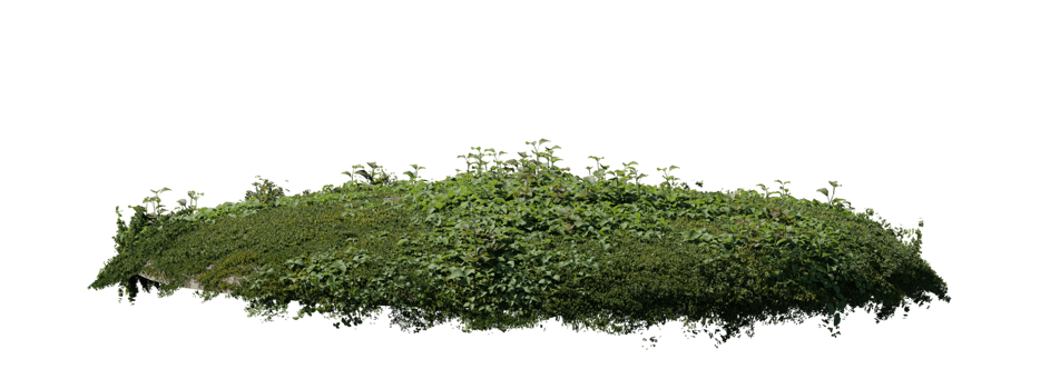 Round surface patch covered with flowers, green or dry grass isolated on white background. Realistic natural element for design. Bright 3d illustration. png