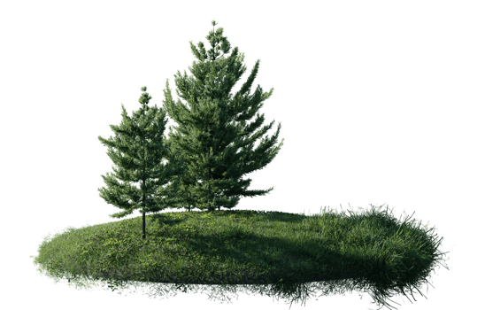 Round surface of Small Pine forest patch covered with flowers, green or dry grass isolated on transparent background. Realistic natural element for design. Bright 3d png