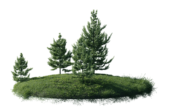 Round surface of Small Pine forest patch covered with flowers, green or dry grass isolated on transparent background. Realistic natural element for design. Bright 3d png