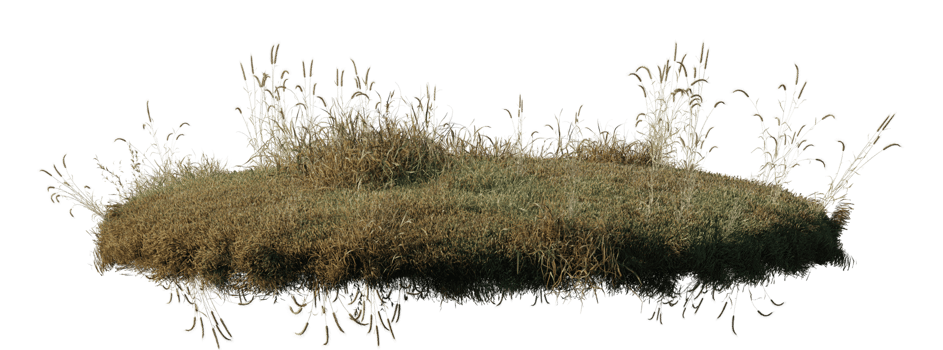 Round surface patch covered with flowers, green or dry grass isolated on white background. Realistic natural element for design. Bright 3d illustration. png