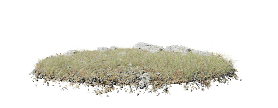 Round surface of Small Plant forest patch covered with flowers, green or dry grass isolated on transparent background. Realistic natural element for design. Bright 3d png