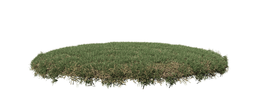 Round surface of Small Plant forest patch covered with flowers, green or dry grass isolated on transparent background. Realistic natural element for design. Bright 3d png