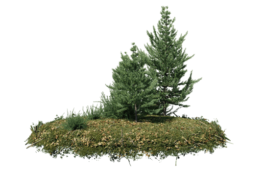 Round surface of Small Plant forest patch covered with flowers, green or dry grass isolated on transparent background. Realistic natural element for design. Bright 3d png