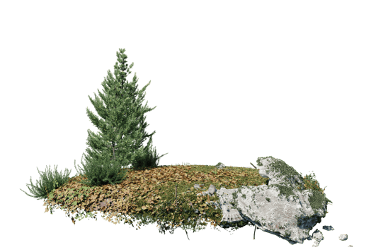 Round surface of Small Plant forest patch covered with flowers, green or dry grass isolated on transparent background. Realistic natural element for design. Bright 3d png