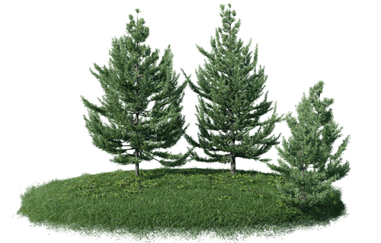 Round surface of Small Plant forest patch covered with flowers, green or dry grass isolated on transparent background. Realistic natural element for design. Bright 3d png