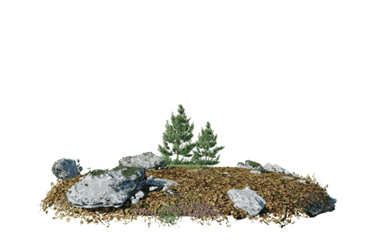Round surface of Small Plant forest patch covered with flowers, green or dry grass isolated on transparent background. Realistic natural element for design. Bright 3d png