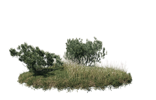 Round surface of Small Plant forest patch covered with flowers, green or dry grass isolated on transparent background. Realistic natural element for design. Bright 3d png