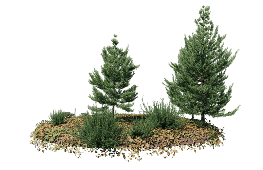 Round surface of Small Plant forest patch covered with flowers, green or dry grass isolated on transparent background. Realistic natural element for design. Bright 3d png