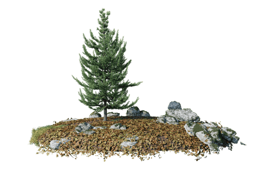 Round surface of Small Plant forest patch covered with flowers, green or dry grass isolated on transparent background. Realistic natural element for design. Bright 3d png
