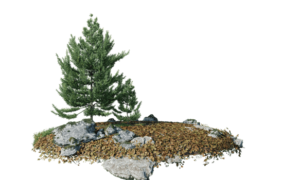 Round surface of Small Plant forest patch covered with flowers, green or dry grass isolated on transparent background. Realistic natural element for design. Bright 3d png