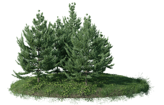 Round surface of Small Plant forest patch covered with flowers, green or dry grass isolated on transparent background. Realistic natural element for design. Bright 3d png