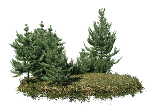Round surface of Small Plant forest patch covered with flowers, green or dry grass isolated on transparent background. Realistic natural element for design. Bright 3d png