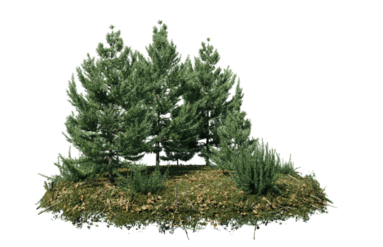 Round surface of Small Plant forest patch covered with flowers, green or dry grass isolated on transparent background. Realistic natural element for design. Bright 3d png