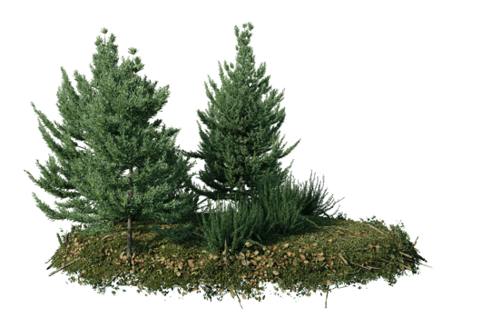 Round surface of Small Plant forest patch covered with flowers, green or dry grass isolated on transparent background. Realistic natural element for design. Bright 3d png