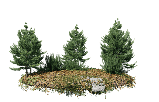 Round surface of Small Plant forest patch covered with flowers, green or dry grass isolated on transparent background. Realistic natural element for design. Bright 3d png