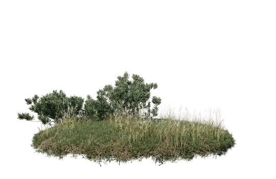 Round surface of Small Plant forest patch covered with flowers, green or dry grass isolated on transparent background. Realistic natural element for design. Bright 3d png