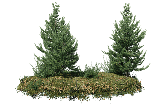 Round surface of Small Plant forest patch covered with flowers, green or dry grass isolated on transparent background. Realistic natural element for design. Bright 3d png
