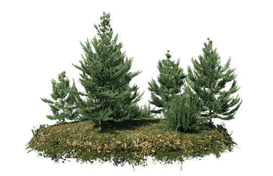 Round surface of Small Plant forest patch covered with flowers, green or dry grass isolated on transparent background. Realistic natural element for design. Bright 3d png