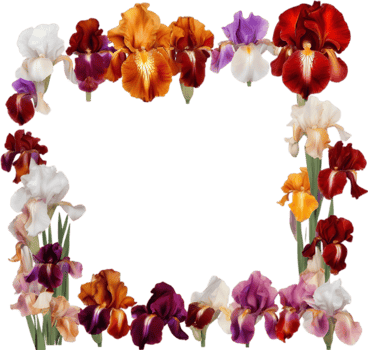 AI generated Colorful painting of Iris floral frame. png