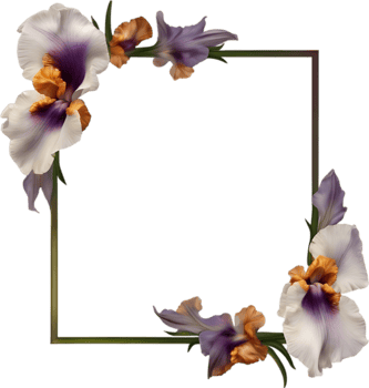 AI generated Colorful painting of Iris floral frame. png