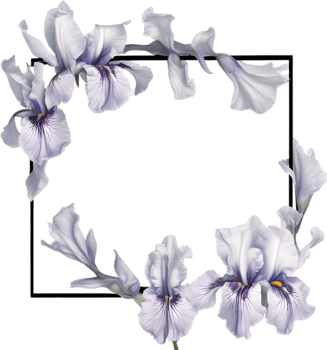 AI generated Colorful painting of Iris floral frame. png
