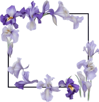 AI generated Colorful painting of Iris floral frame. png