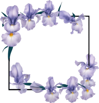 AI generated Colorful painting of Iris floral frame. png