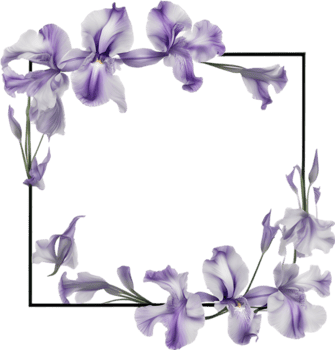 AI generated Colorful painting of Iris floral frame. png
