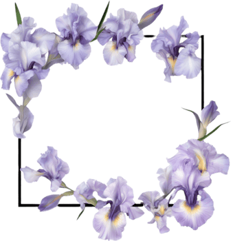 AI generated Colorful painting of Iris floral frame. png