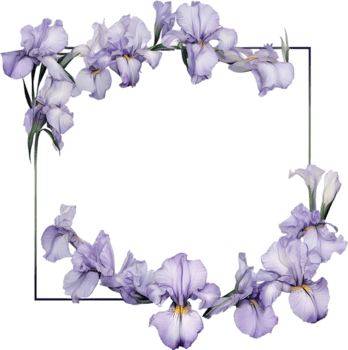 AI generated Colorful painting of Iris floral frame. png