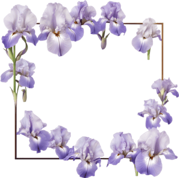 AI generated Colorful painting of Iris floral frame. png