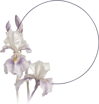 AI generated Colorful painting of Iris floral frame. png