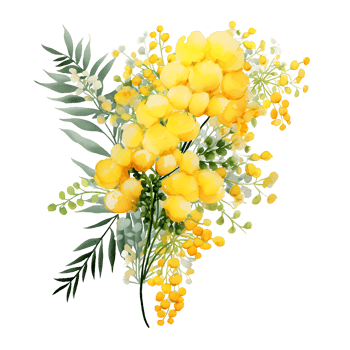 AI generated Dazzling Watercolor Mimosa Spring Flowers Clipart png