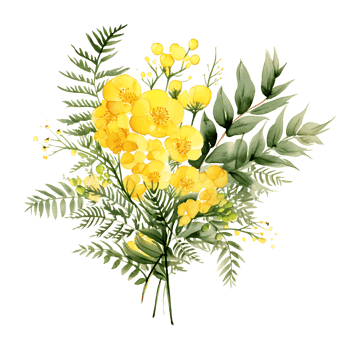 AI generated Subdued Mimosa Foliage Watercolor Illustration png