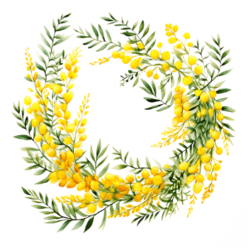 AI generated Dreamy Watercolor Illustration of Mimosa Blooms png