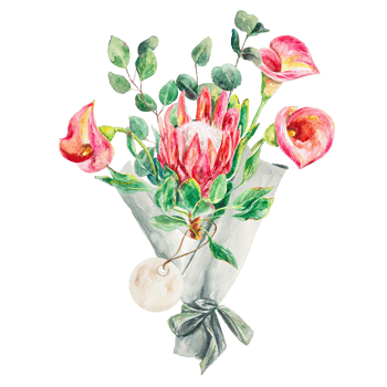 Flower bouquet watercolor. Hand drawn bouquet of pink protea, calla lilies and eucalyptus. Design element for cards, packaging, covers, invitations, labels. png