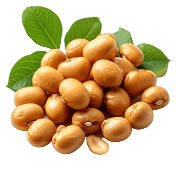 AI generated soybeans isolated on transparent background ,generative ai png