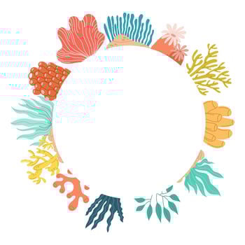 Round frame with different types of seaweed. Flat illustration vector