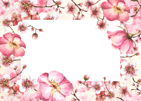 Watercolor blossoming spring sakura, cherry tree branch frame with rosehip, dog or brier rose buds and flowers. Springtime hand drawn template for label, card.  illustration png