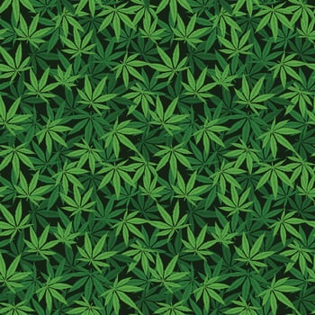 Seamless vector pattern of hand drawn marijuana leaves