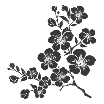 AI generated Silhouette Cherry blossoms or sakura flower black color only png