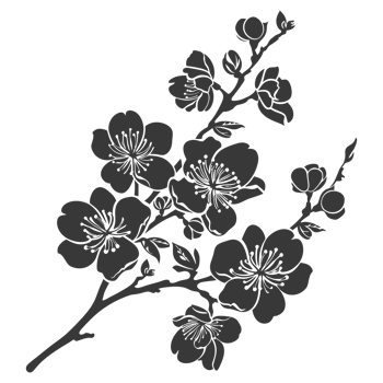 AI generated Silhouette Cherry blossoms or sakura flower black color only png