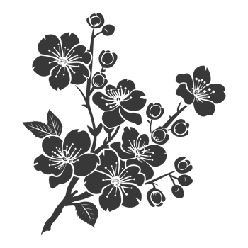 AI generated Silhouette Cherry blossoms or sakura flower black color only png