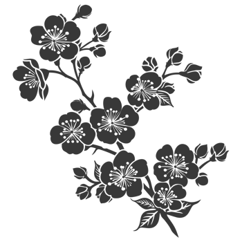 AI generated Silhouette Cherry blossoms or sakura flower black color only png