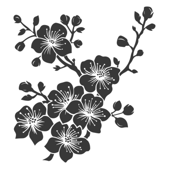 AI generated Silhouette Cherry blossoms or sakura flower black color only png